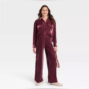 Velvet Button-Front Jumpsuit in Plum
